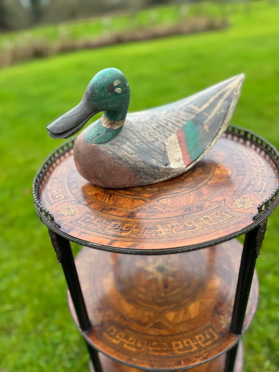 Decoy ducks - Image 2