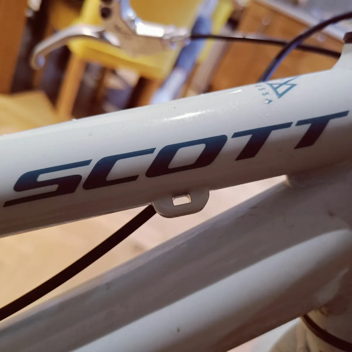 Scott Contessa 24" Kids Bike - Image 1