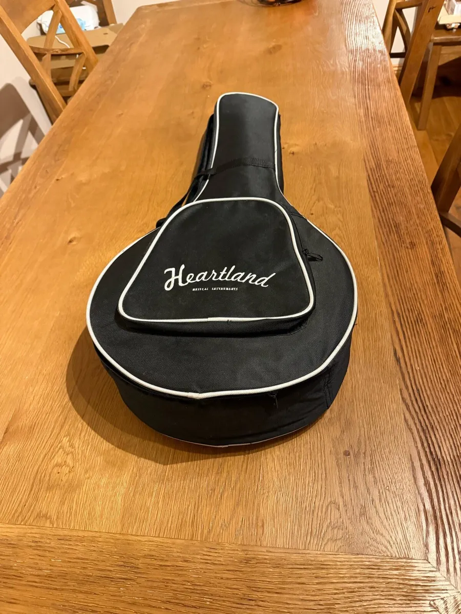 Weatherking 4 String Banjo - Image 4