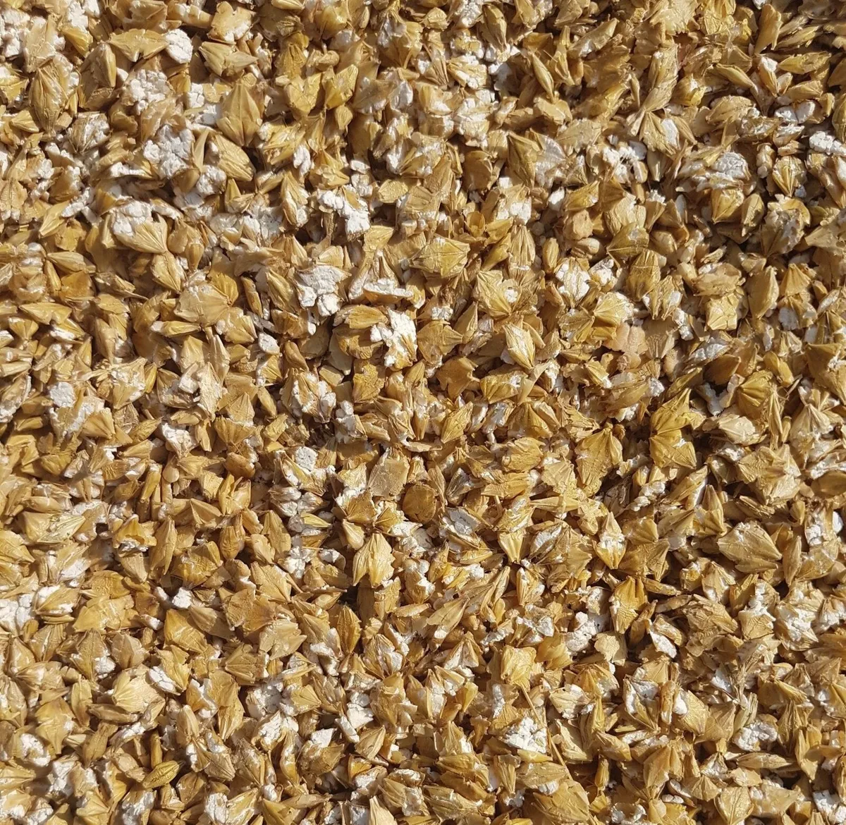 Rolled Barley - Image 1
