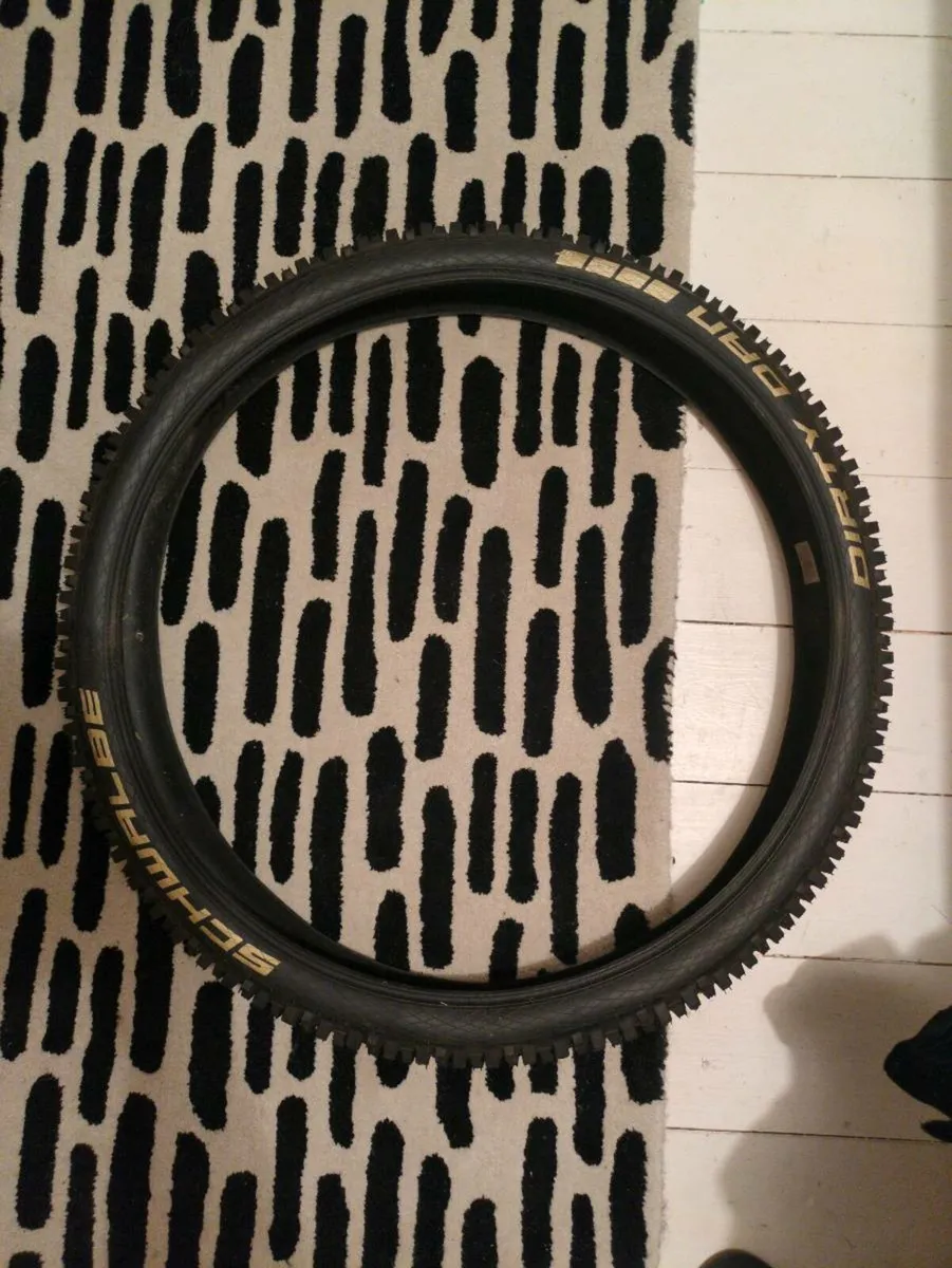 Dirty Dan free to take away - Image 1