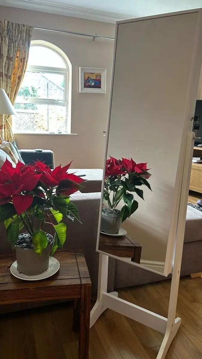 Full Length Mirror with Jewellery Storage - Image 1