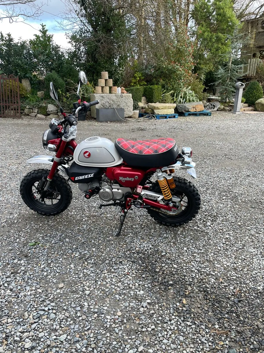 Honda monkey bike - Image 4