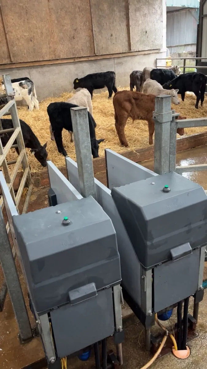 Dairy master (Holm & Laue) automated calf feeders - Image 1