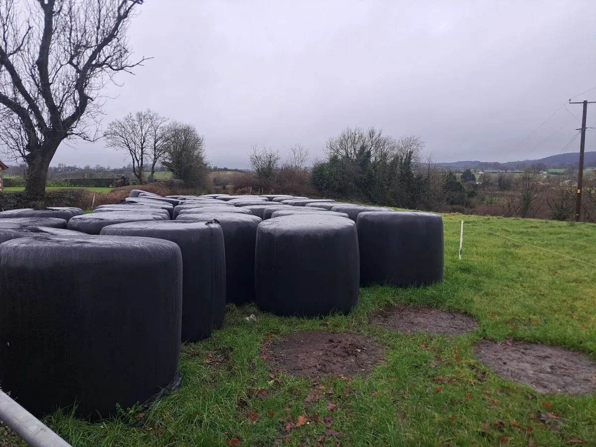 Round bales