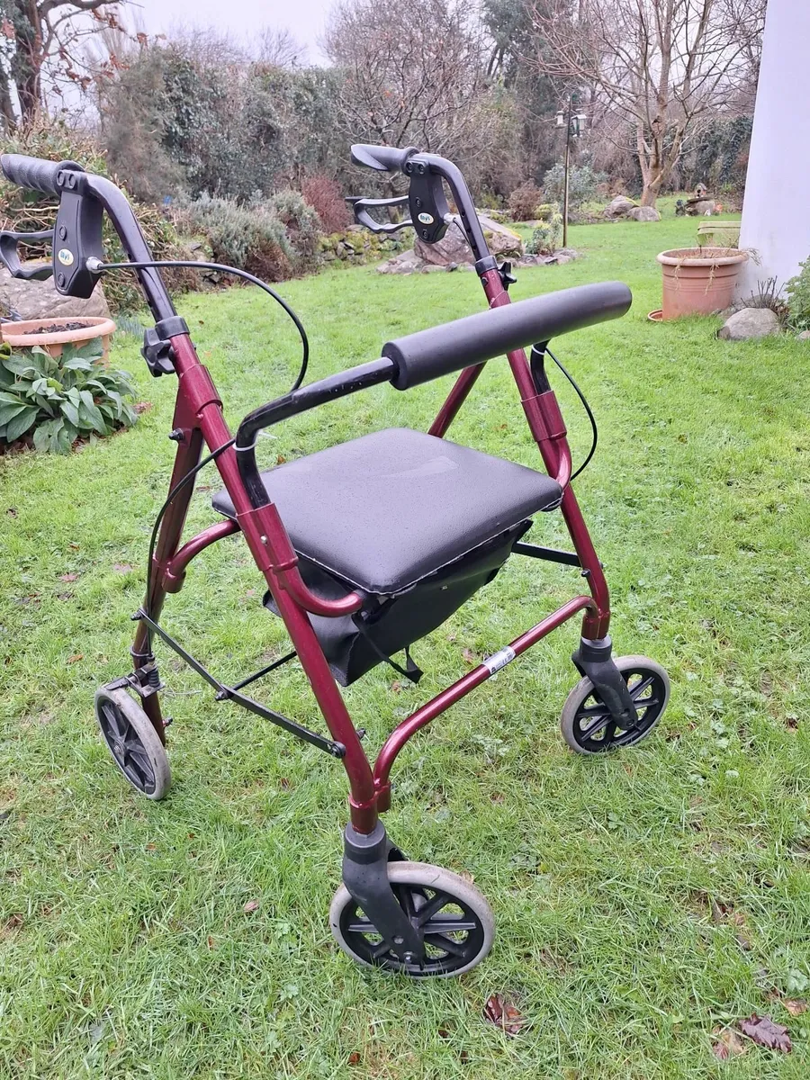 Adult  walker - Image 1