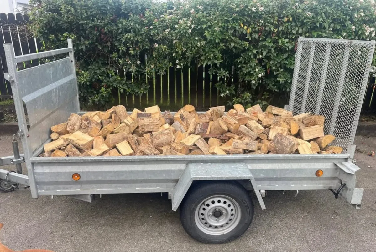 Timber Firewood - Image 2