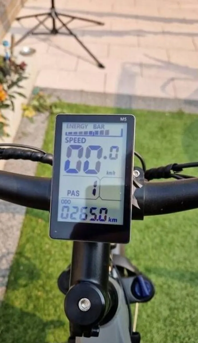E Bike - Image 4