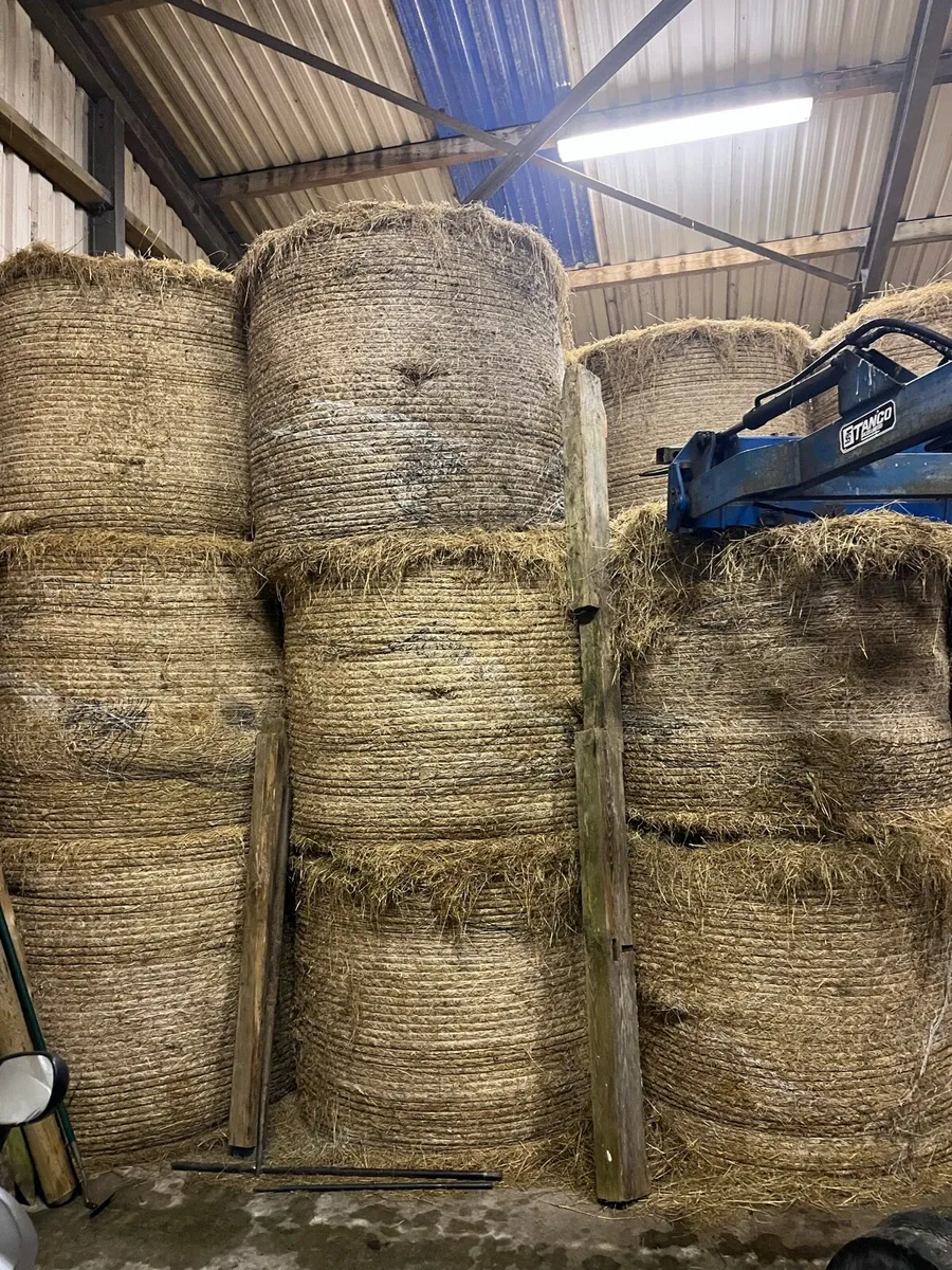 4x4 hay for sale - Image 1