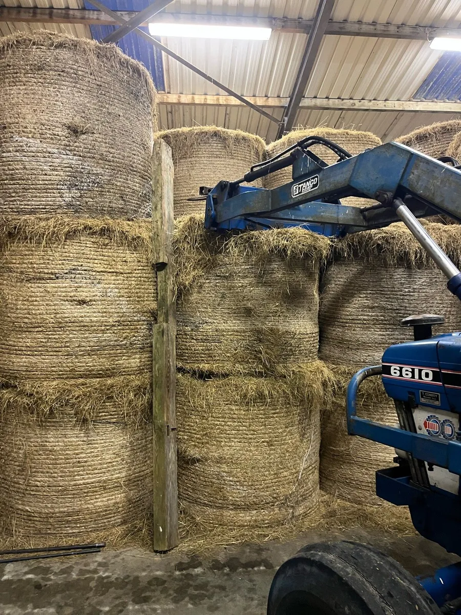 4x4 hay for sale - Image 2