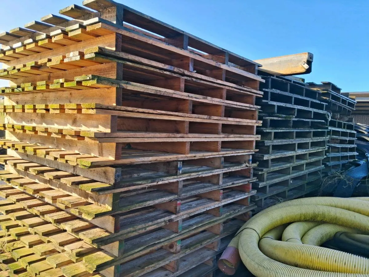 Pallets for sale - Image 2