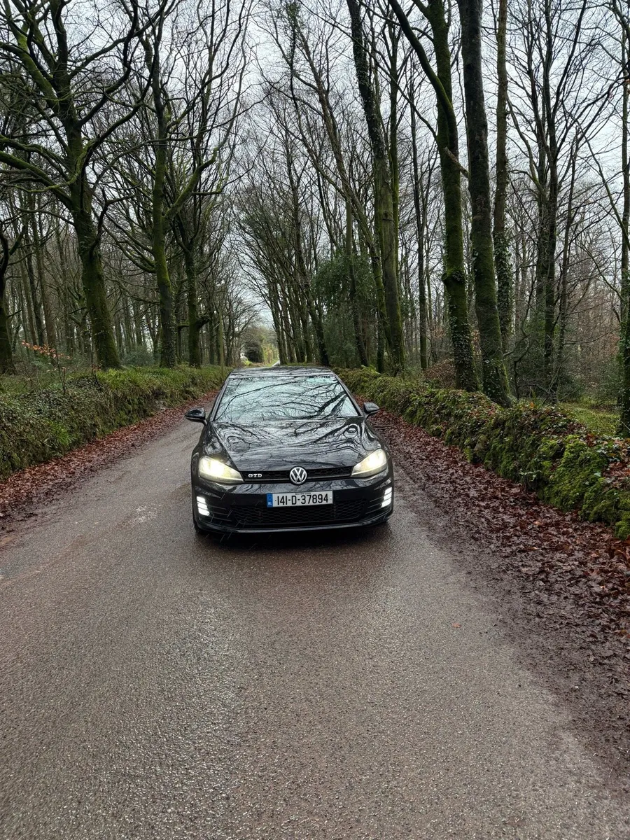 141 GTD GOLF - Image 3