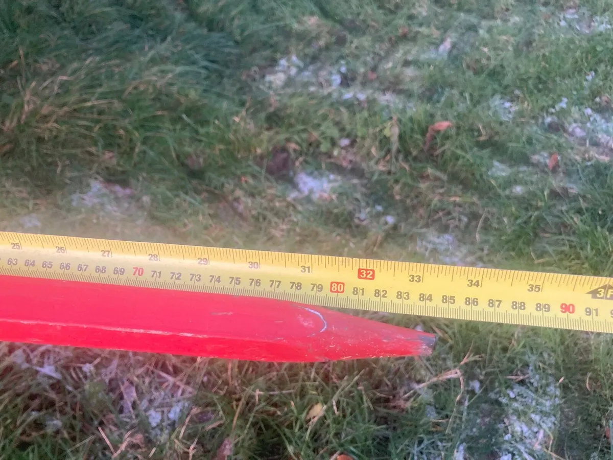 Bale spike - Image 4