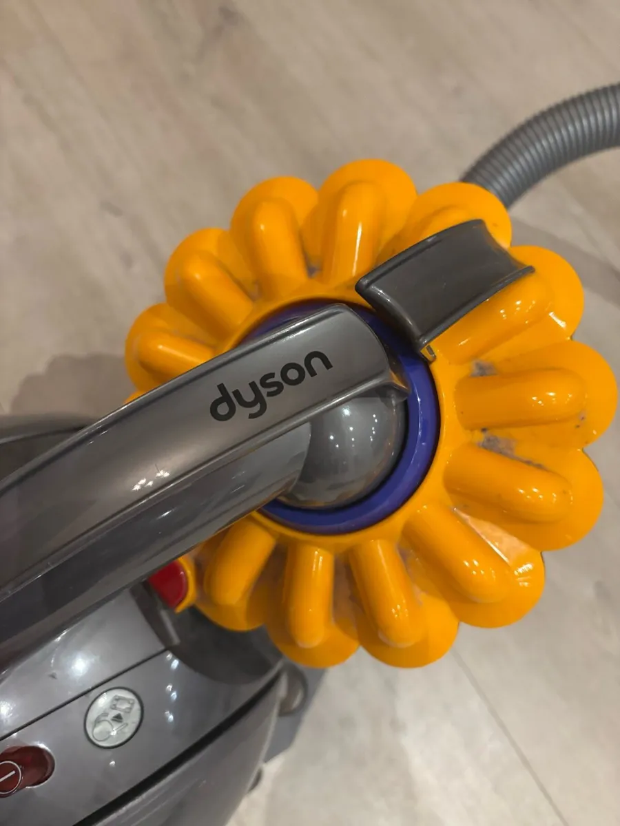 Dyson Big Ball - Image 2