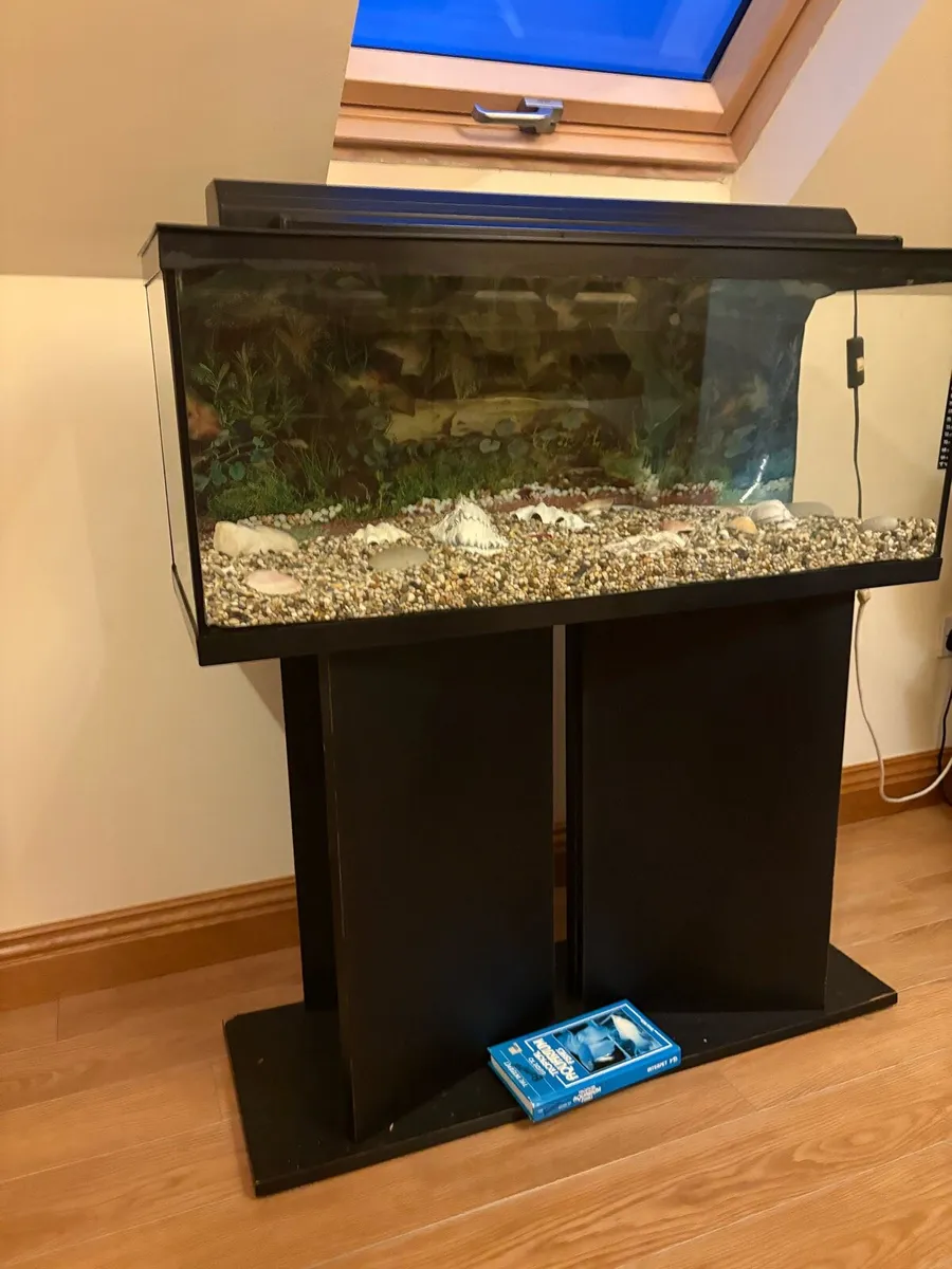 Fish tank and stand - Image 1