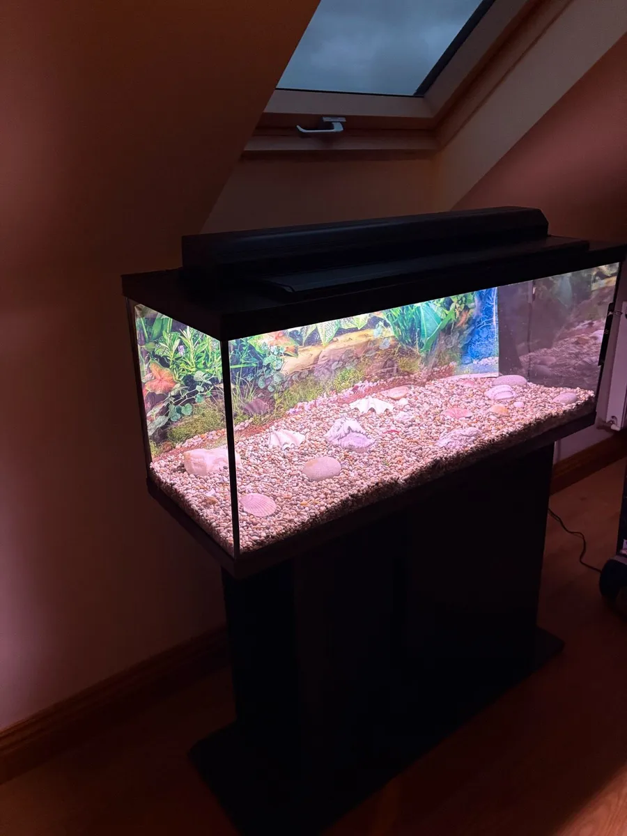 Fish tank and stand - Image 2