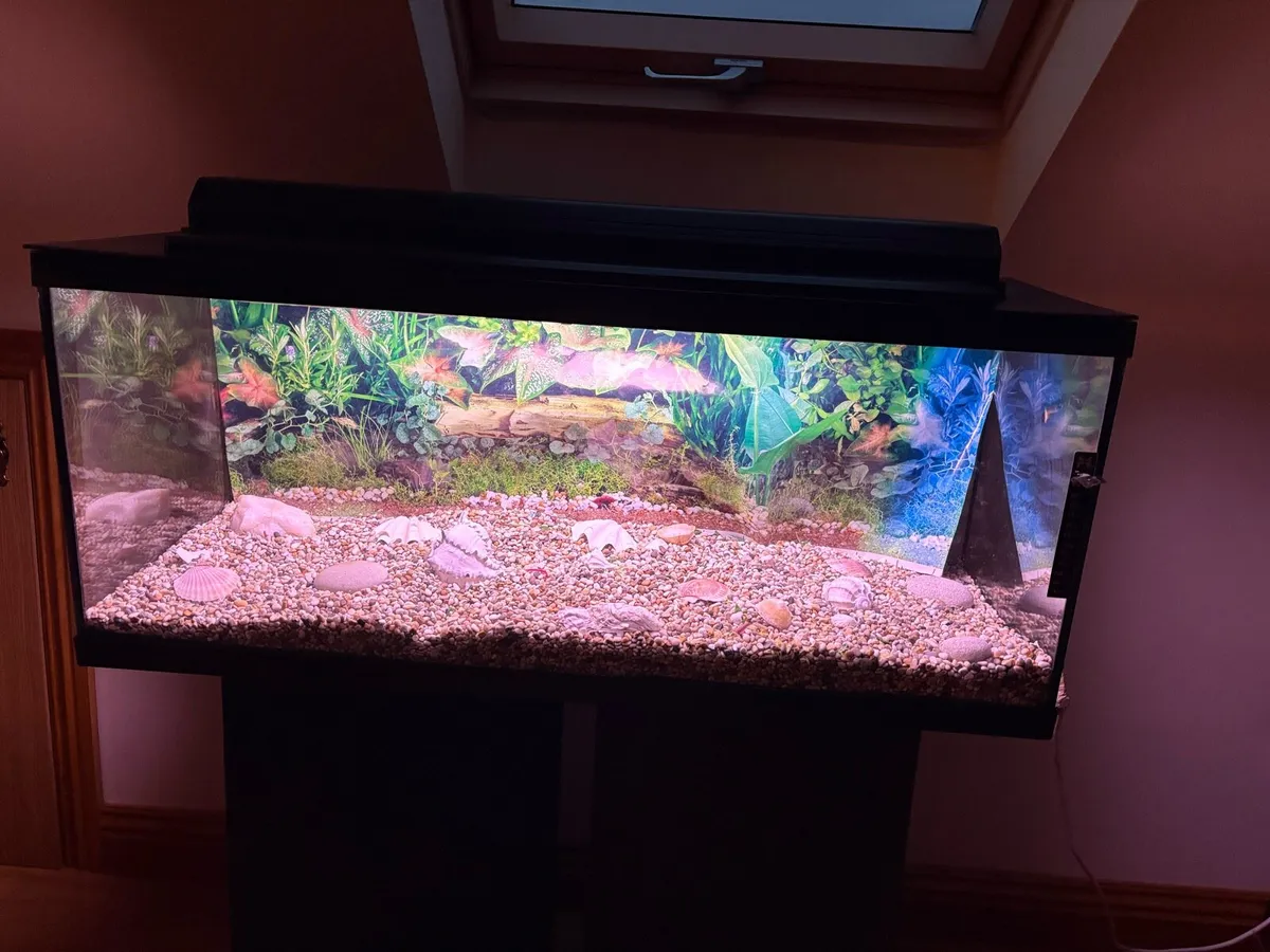 Fish tank and stand - Image 3