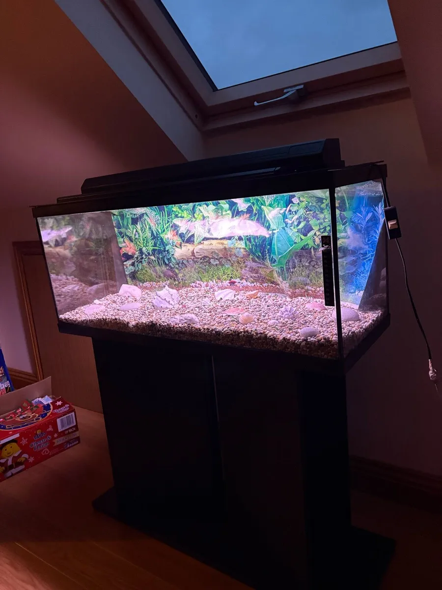 Fish tank and stand - Image 4