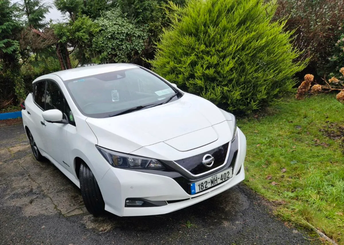 182 Nissan Leaf - Image 1