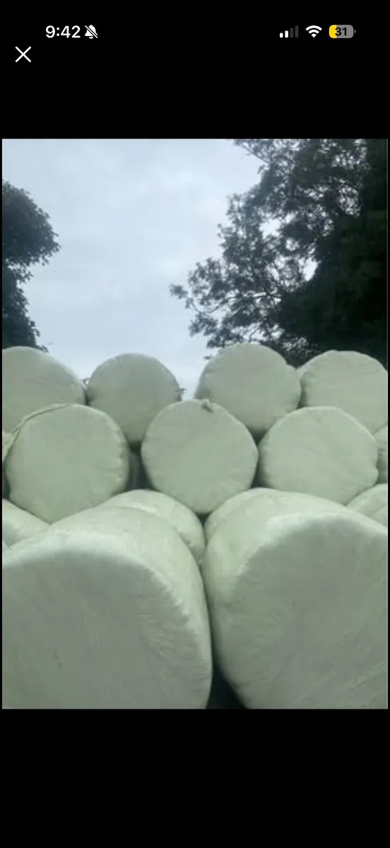 Round bale silage - Image 1