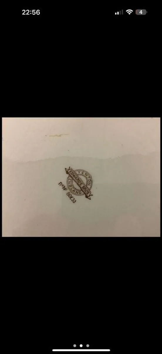 Huge antique meat platter - Image 2