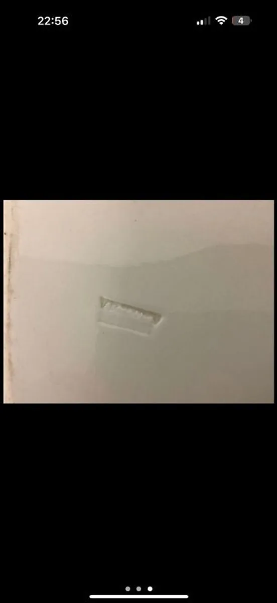 Huge antique meat platter - Image 3