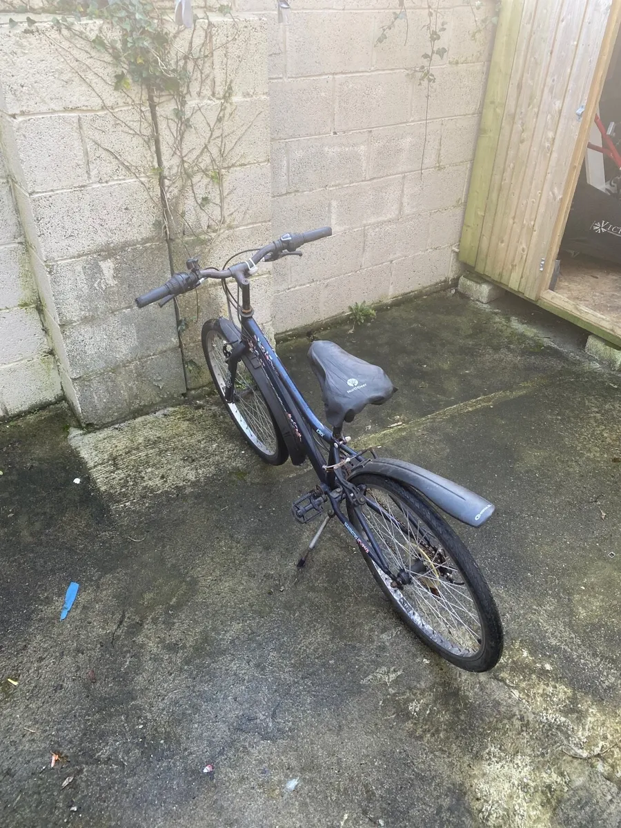 Girls  24inch Bicycle - Image 1