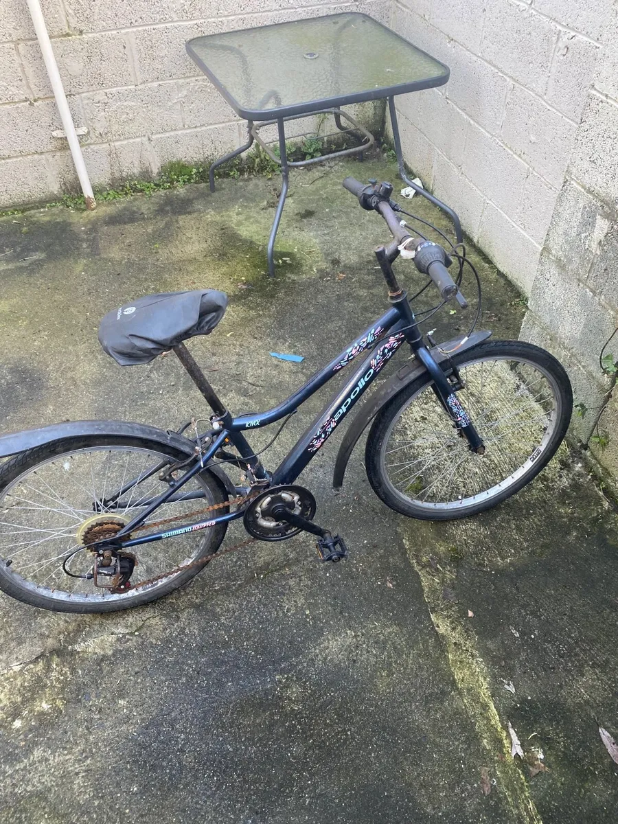 Girls  24inch Bicycle - Image 4