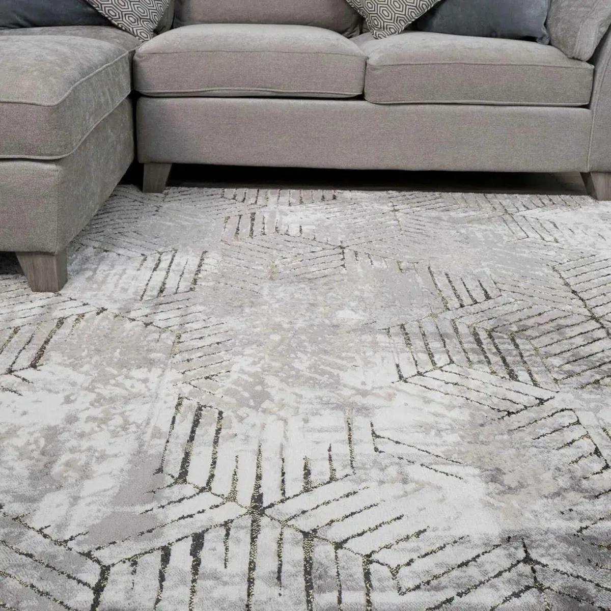 Luxurious Light Grey Distressed Gold Area Rug - Image 1