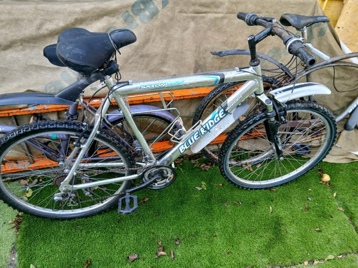 Gents mountain bike - Image 2