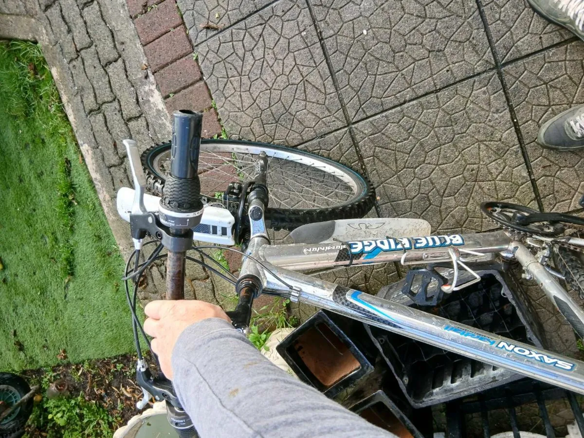 Gents mountain bike - Image 3