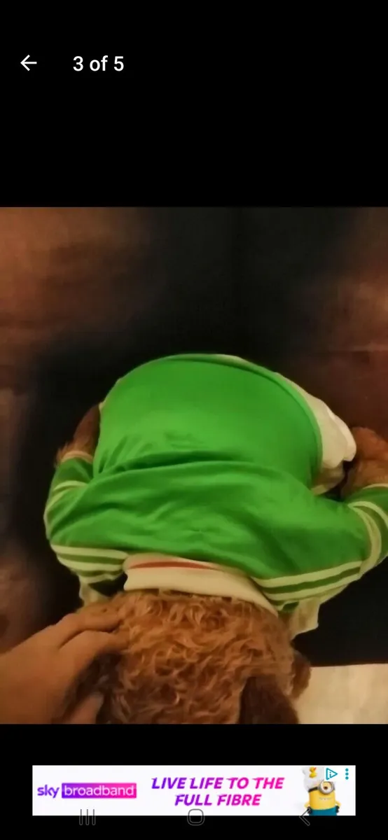 Ireland soccer kit Italy 90 - Image 4