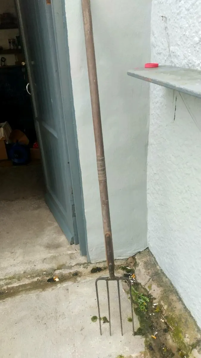 Rare antique Boyne Valley Pike - Image 2