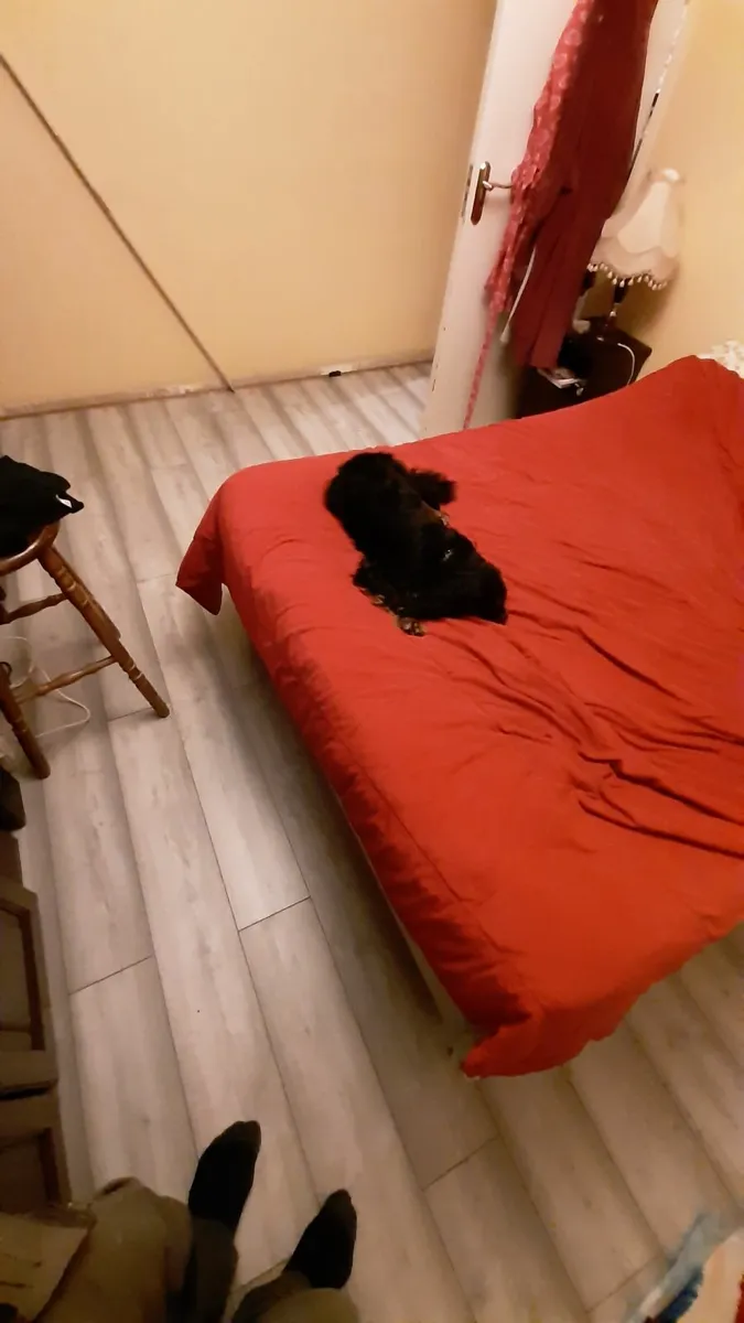 Floor installation - Image 2