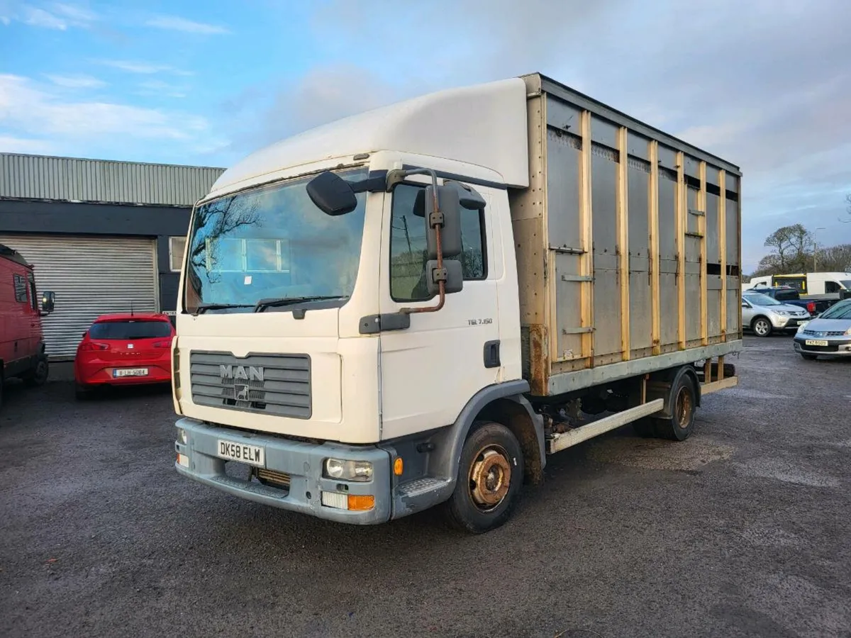 Man cattle lorry - Image 3