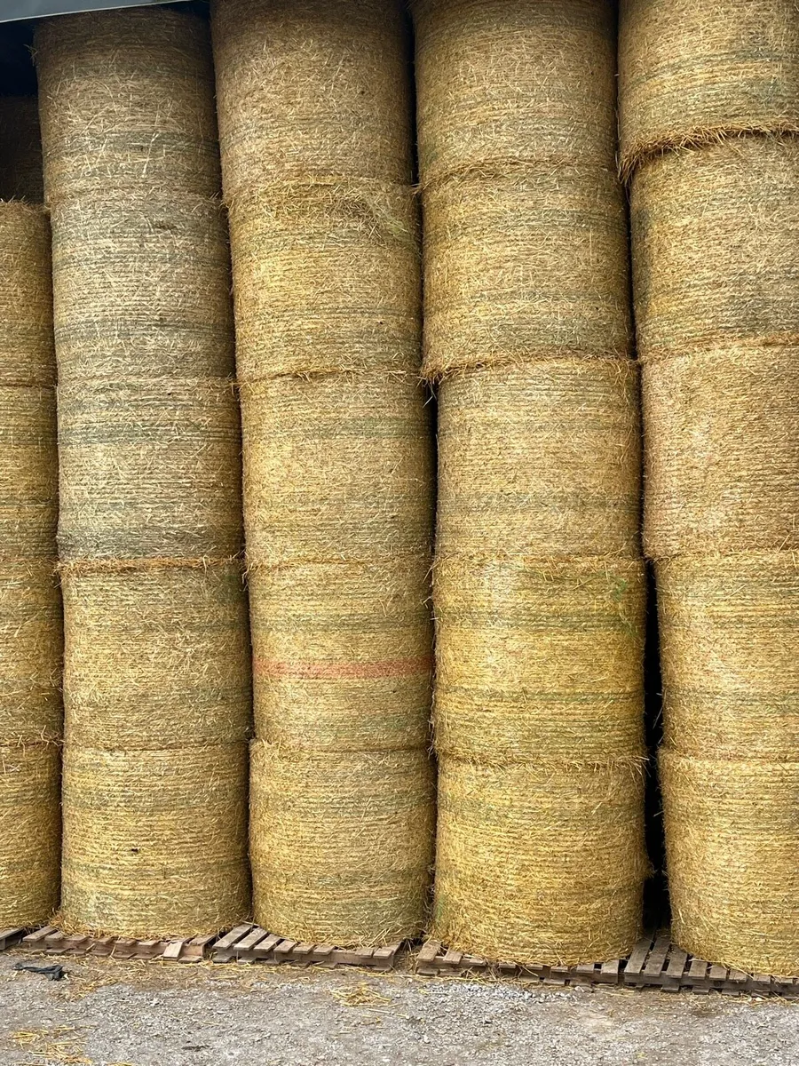 Barley straw 4x4 and 5x4 - Image 2