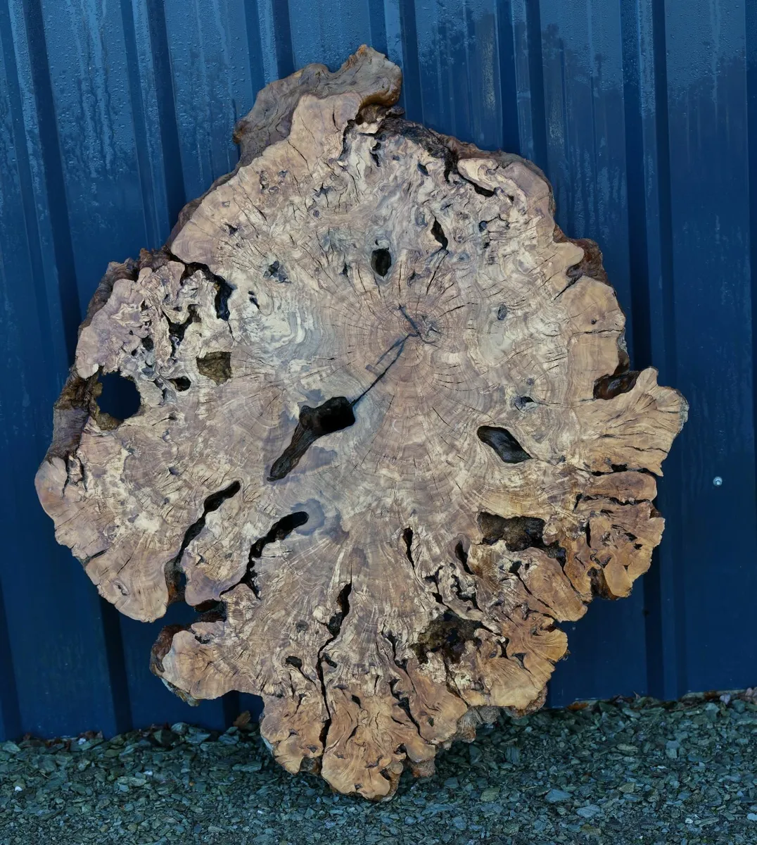 Century Old Turkish Olive Wood & Black Walnut slab - Image 4