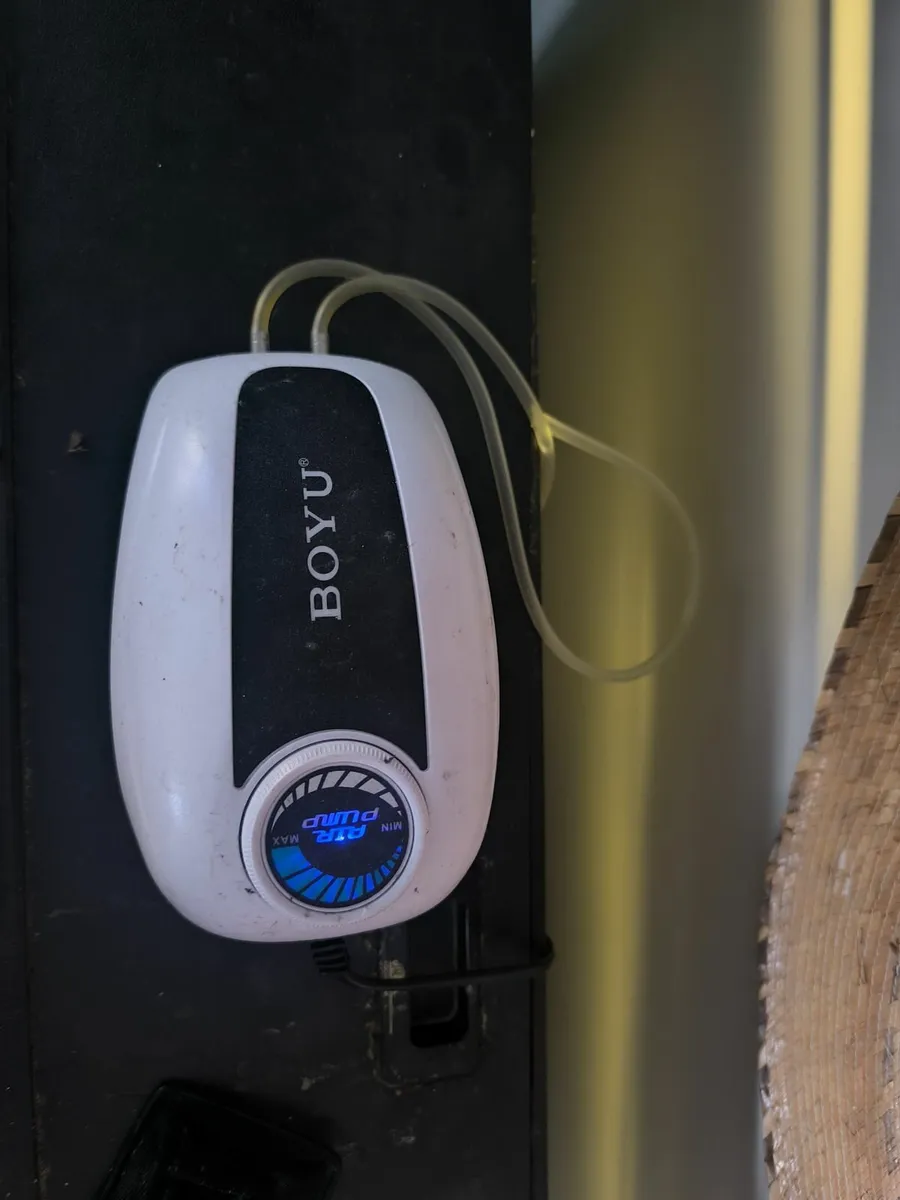 260L Juwel fish tank complete set up - Image 2