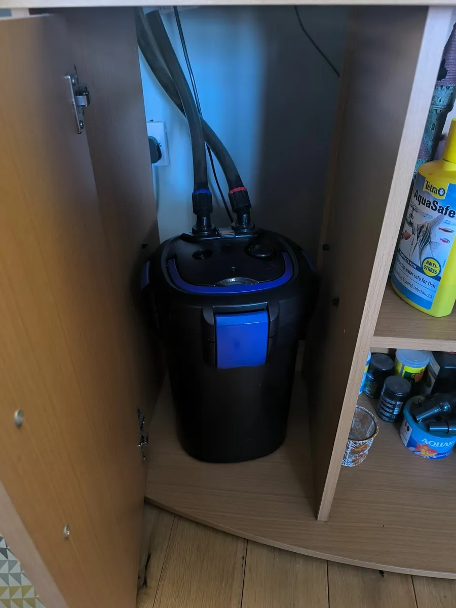 260L Juwel fish tank complete set up - Image 3