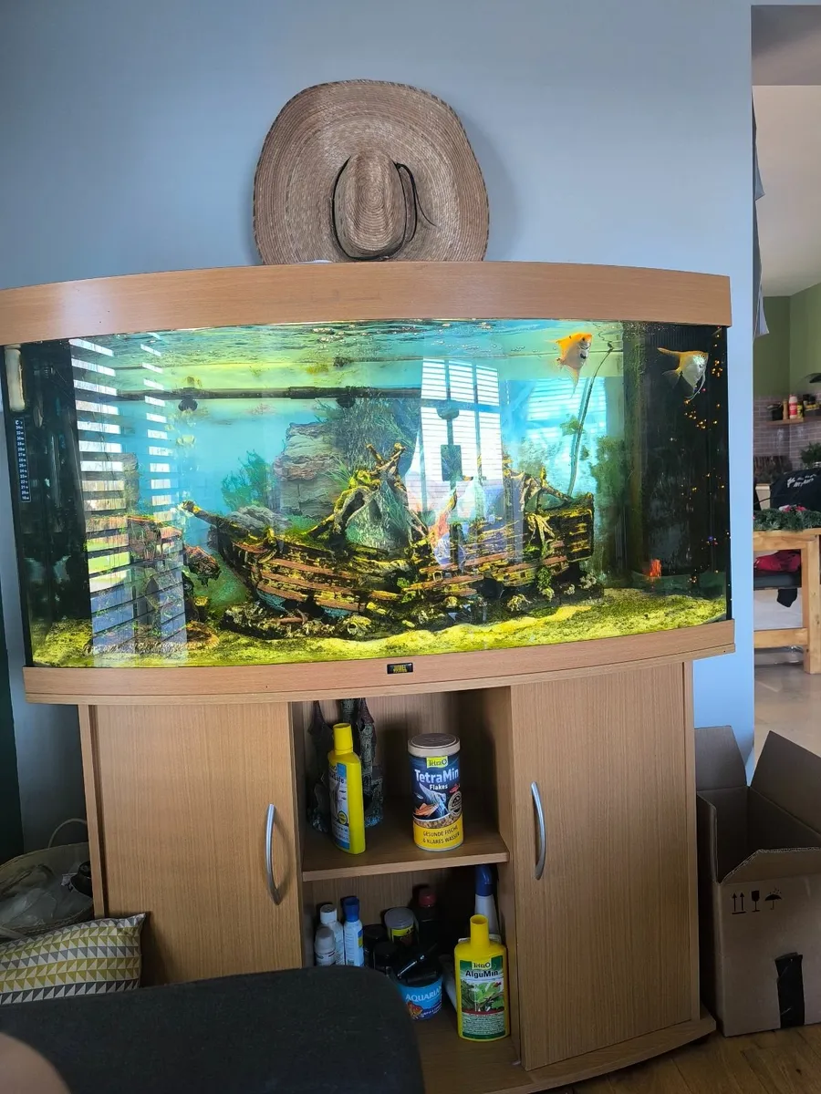 260L Juwel fish tank complete set up - Image 1