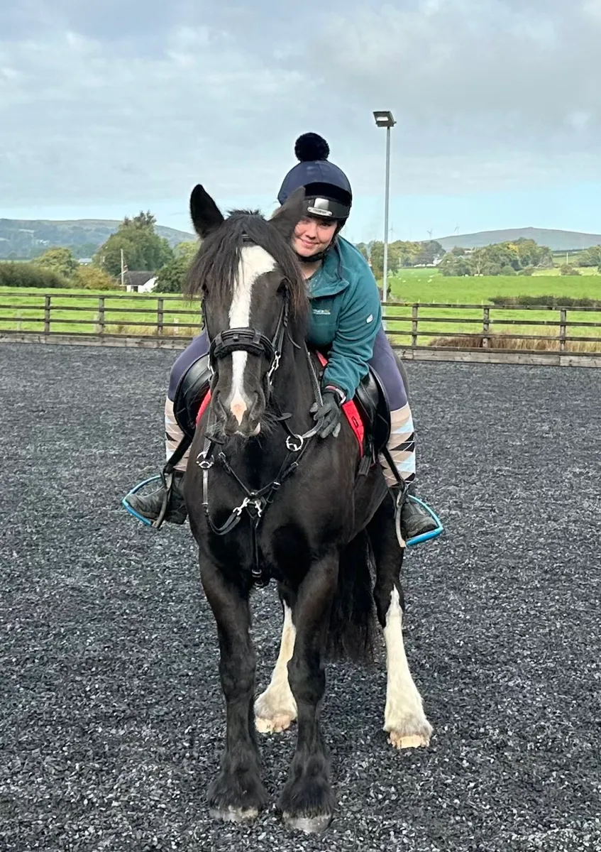 15.1hh 8yo sporty cob mare - Image 4