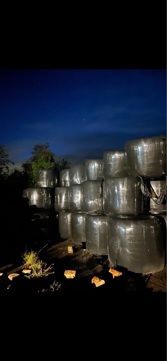 Bales of silage - Image 1