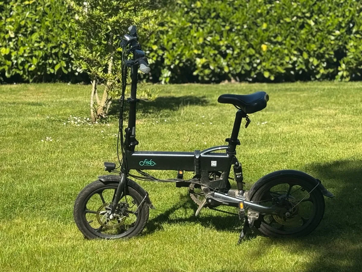 FIIDO D2S 250W Foldable Pedalec Ebike - Image 1