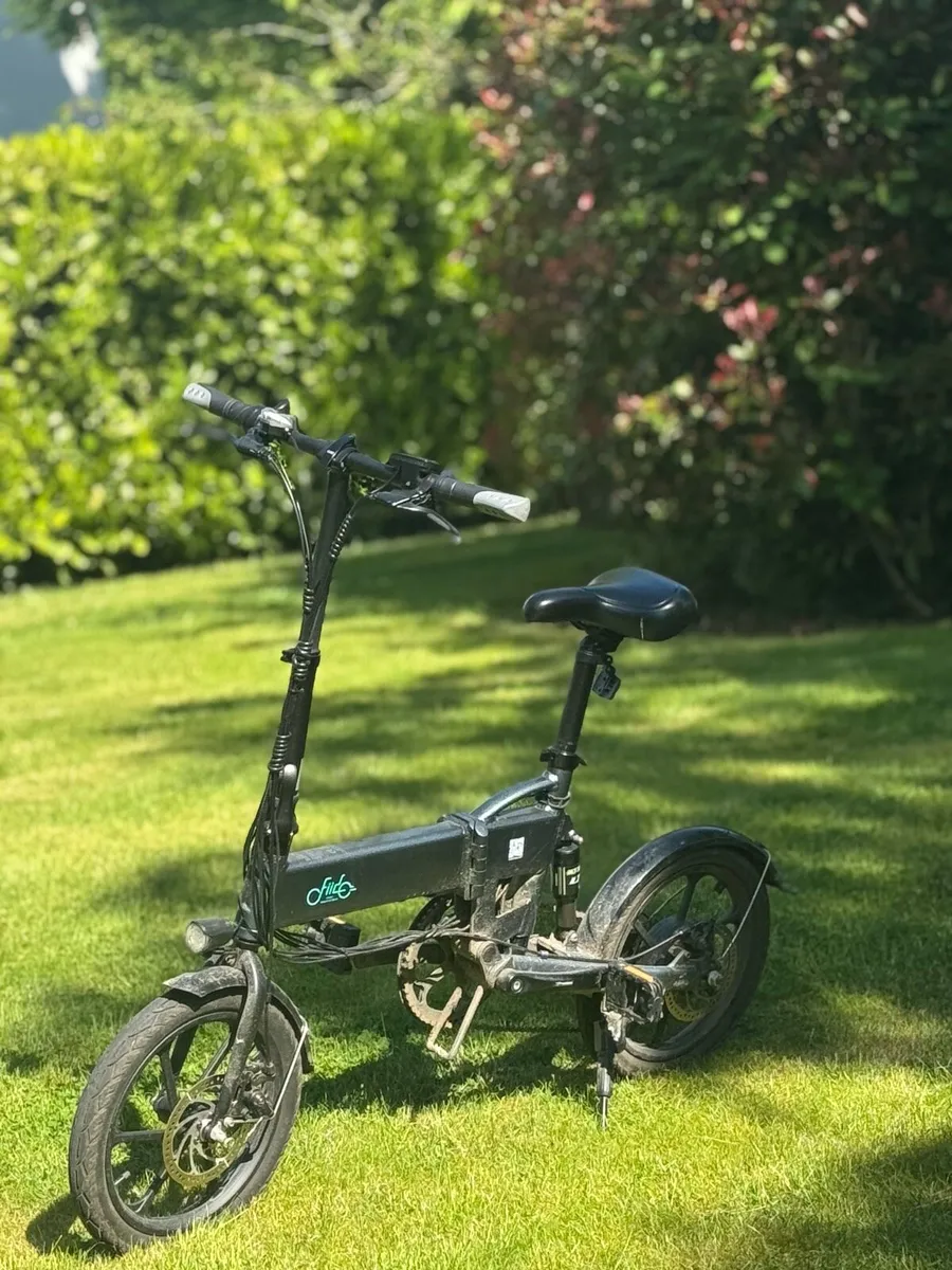 FIIDO D2S 250W Foldable Pedalec Ebike - Image 2