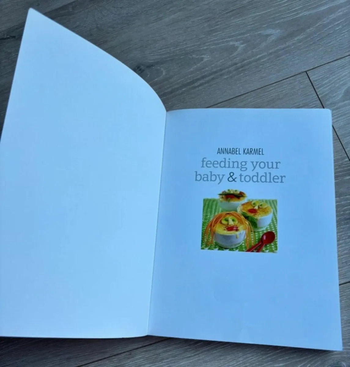 Annabel Karmel – Feeding Your Baby & Toddler - Image 2