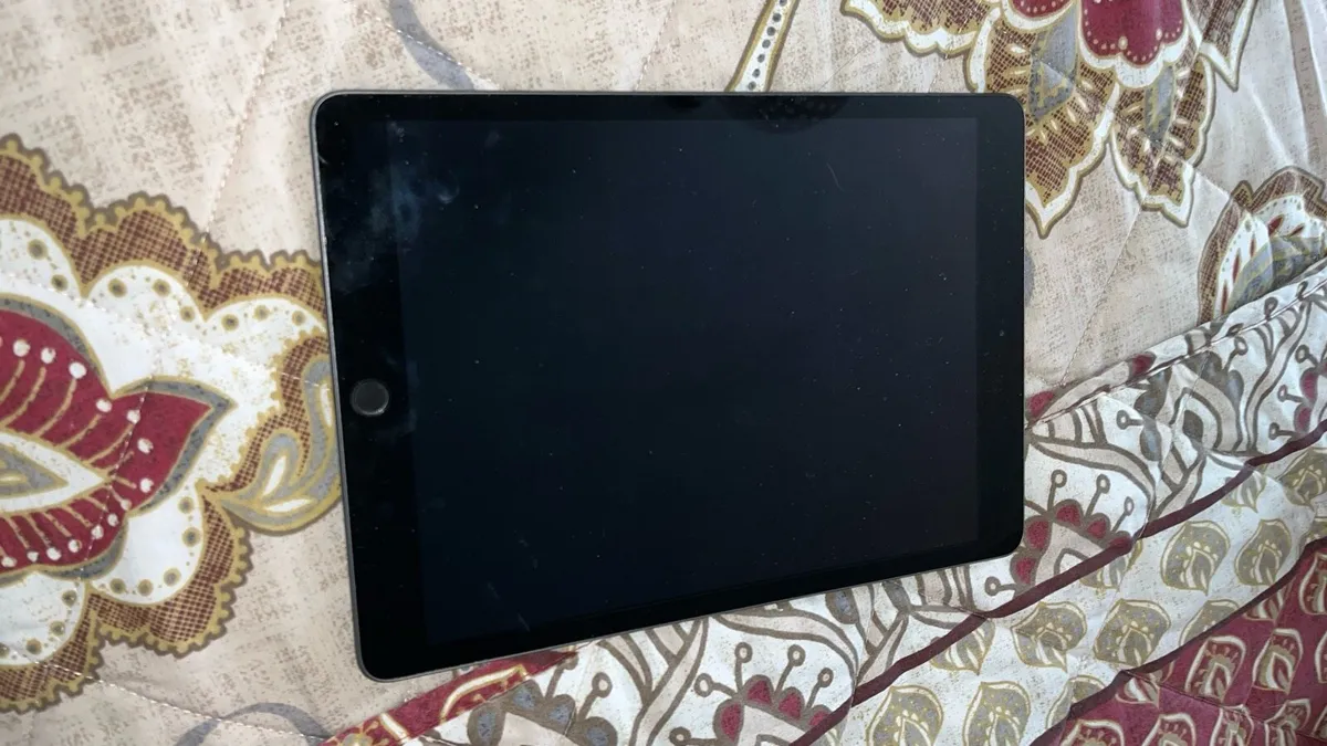 Apple iPadOS version 18.6.2 Silver - Image 3