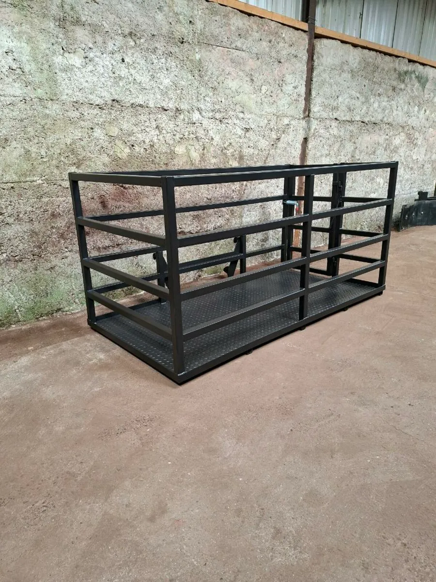 Pinnacle Fabrication Man Basket/ Calf Transporter - Image 1