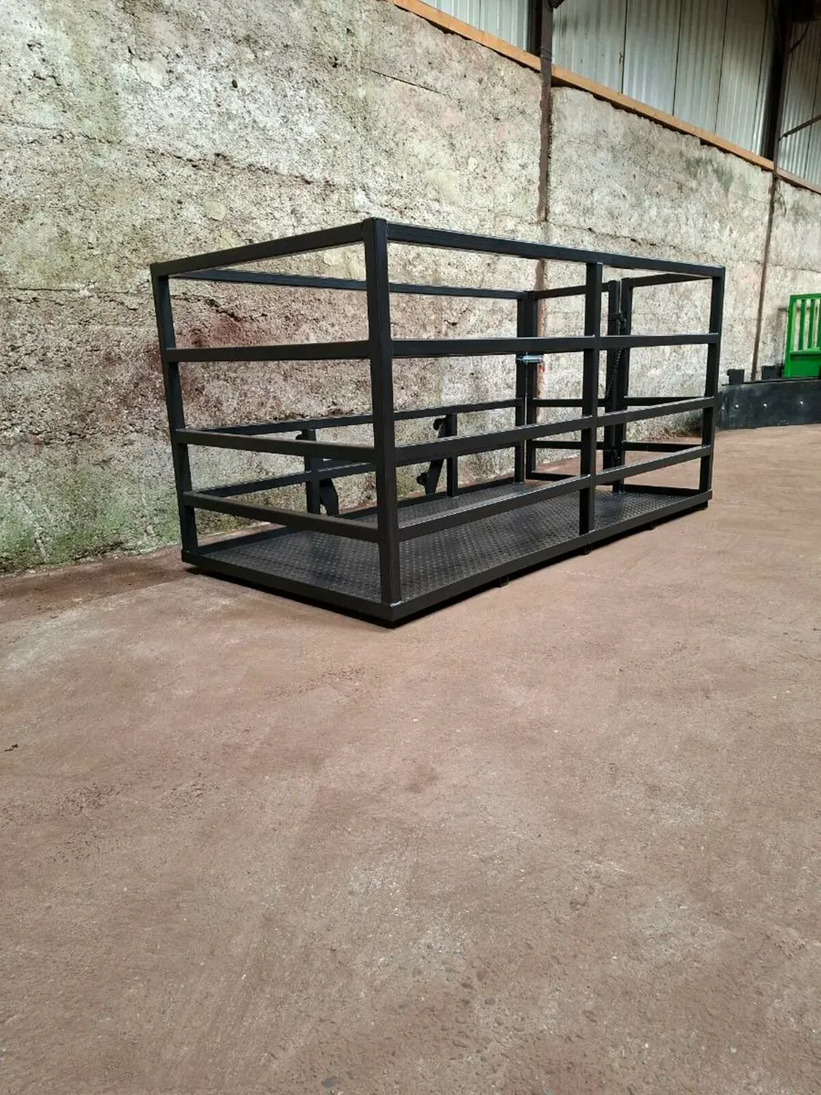 Pinnacle Fabrication Man Basket/ Calf Transporter - Image 3