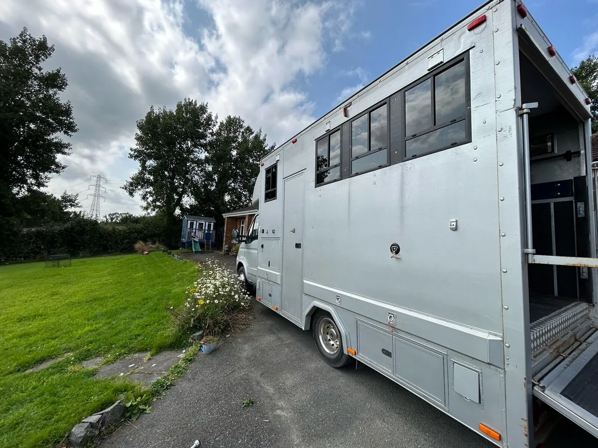 2007 6.5T Iveco Daily Horselorry - Image 2