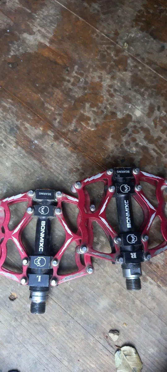 Mountain Bike - Image 2